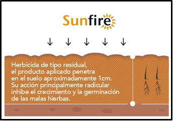 Herbicida sunfire