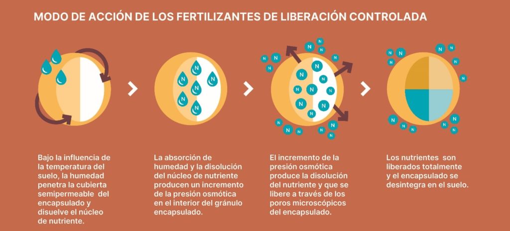 ICL presenta su fertilizante de liberación controlada | Blog Silos del Cinca