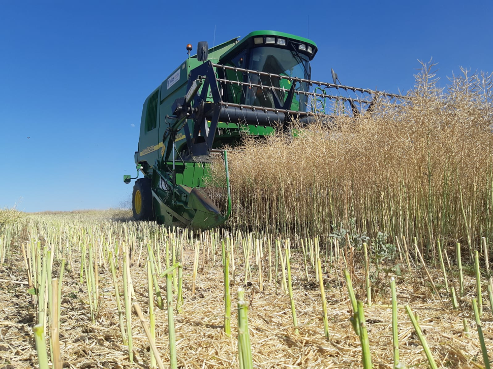 maquinaria agrícola