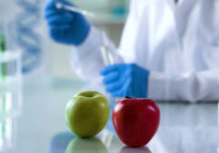 Imagen de laboratorio: Biofertilizantes y microorganismos