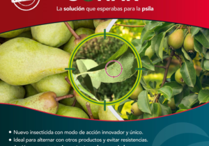 Insecticida bio-racional