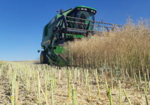maquinaria agrícola