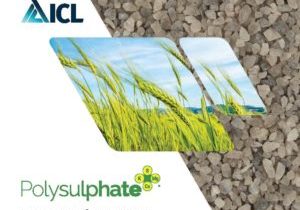 Fertilizante Polysulphate