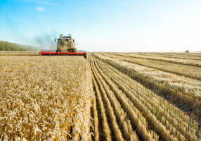 asesoría técnica para agricultores y prestación de servicios agrícolas