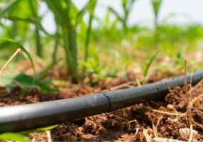 WhatsApp Image 2026-01-23 at 09.03.57