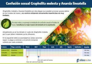 WhatsApp Image 2026-03-24 at 09.12.50 (1)