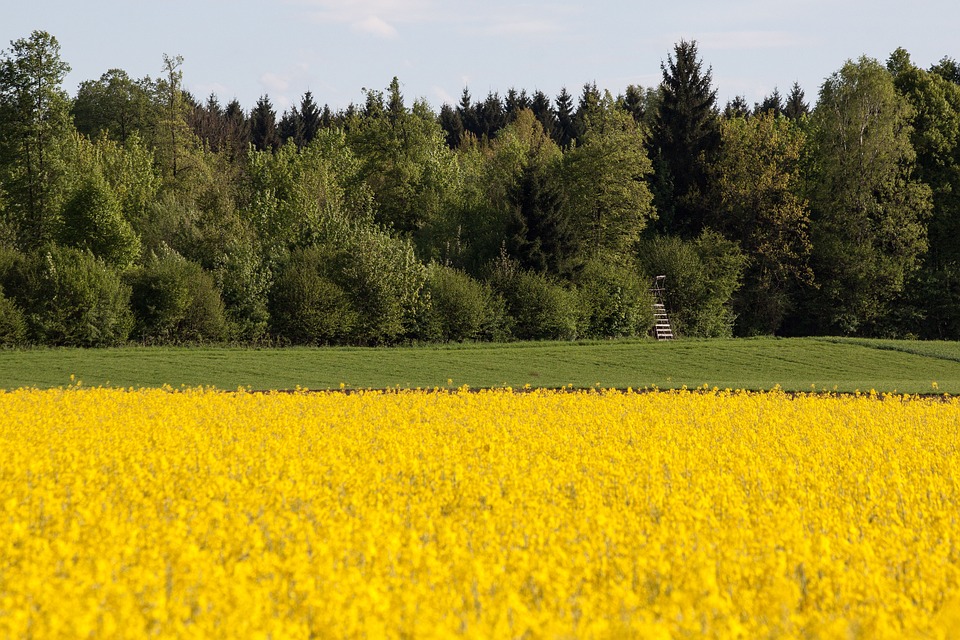 gestion-fincas-agricolas